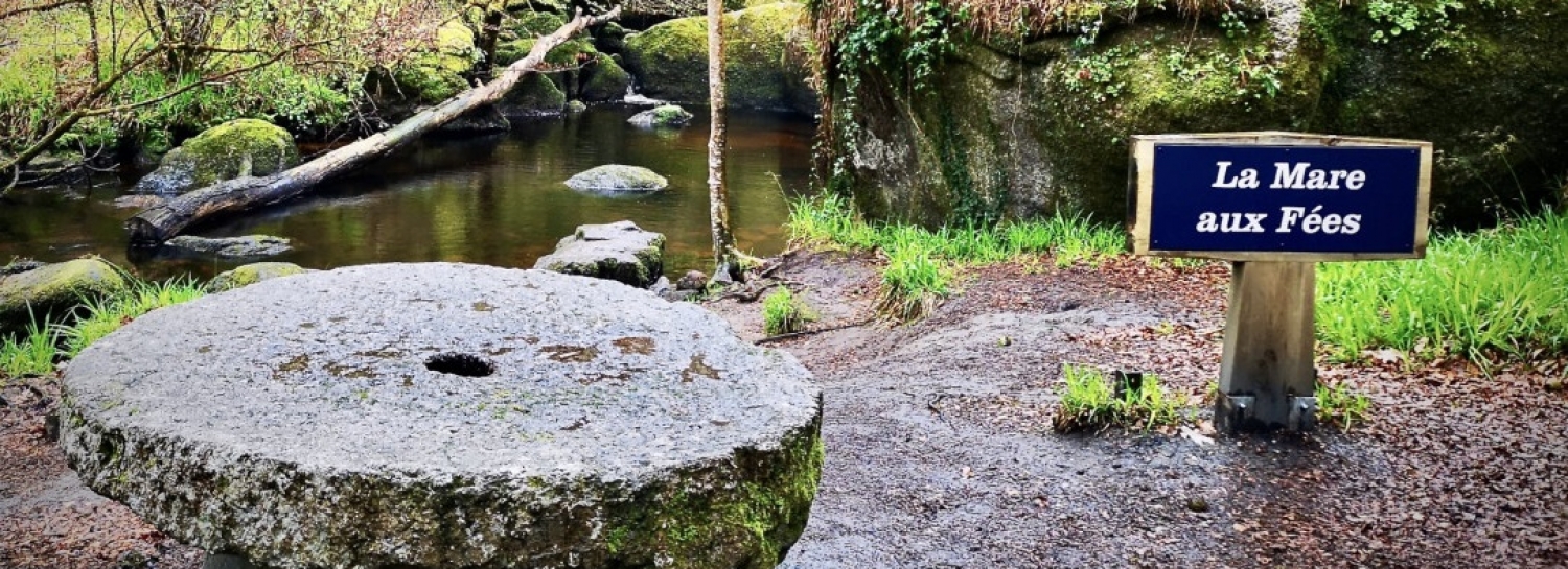 🧚🏻‍♀️Une journée à HUELGOAT  (dans le Finistère).