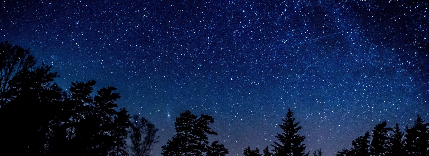 Observation des étoiles au Grand-Blottereau