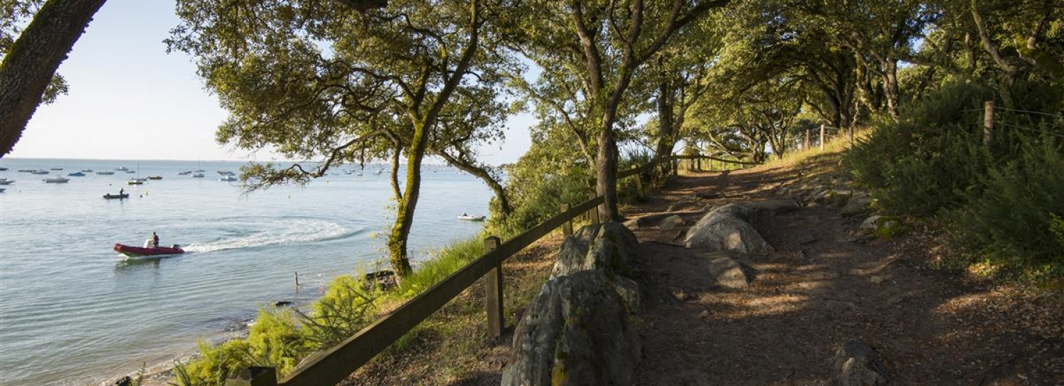 Rando Pique-nique 16kms Bois de la Chaize NoirmouT