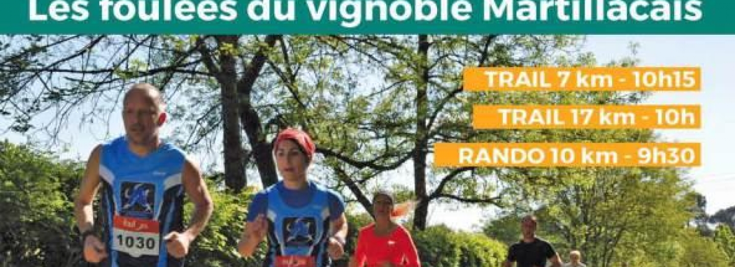 RANDONNEE 10 KM DANS LES VIGNES