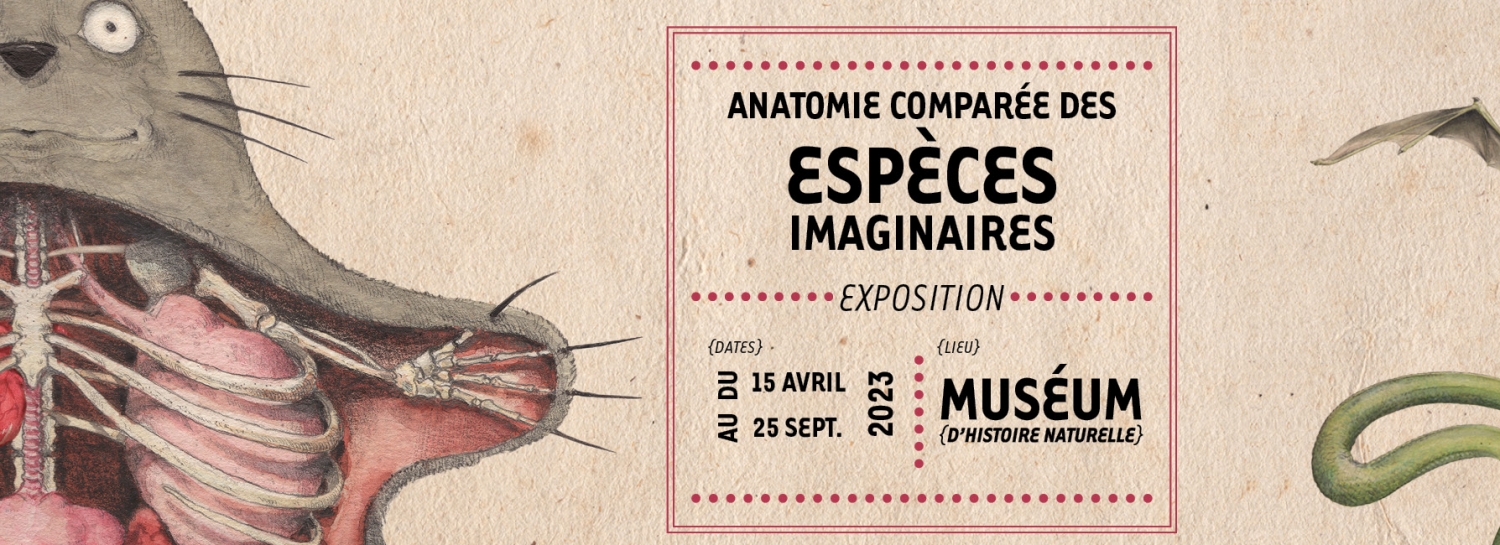 Expo: Anatomie comparée des espèces imaginaires