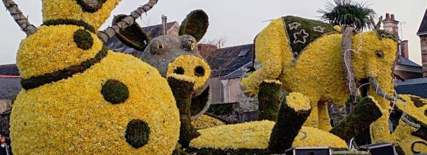 Fête des jonquilles 