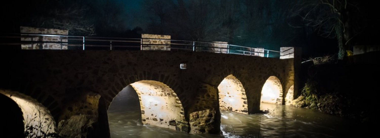 Rando nocturne à Mouzillon.