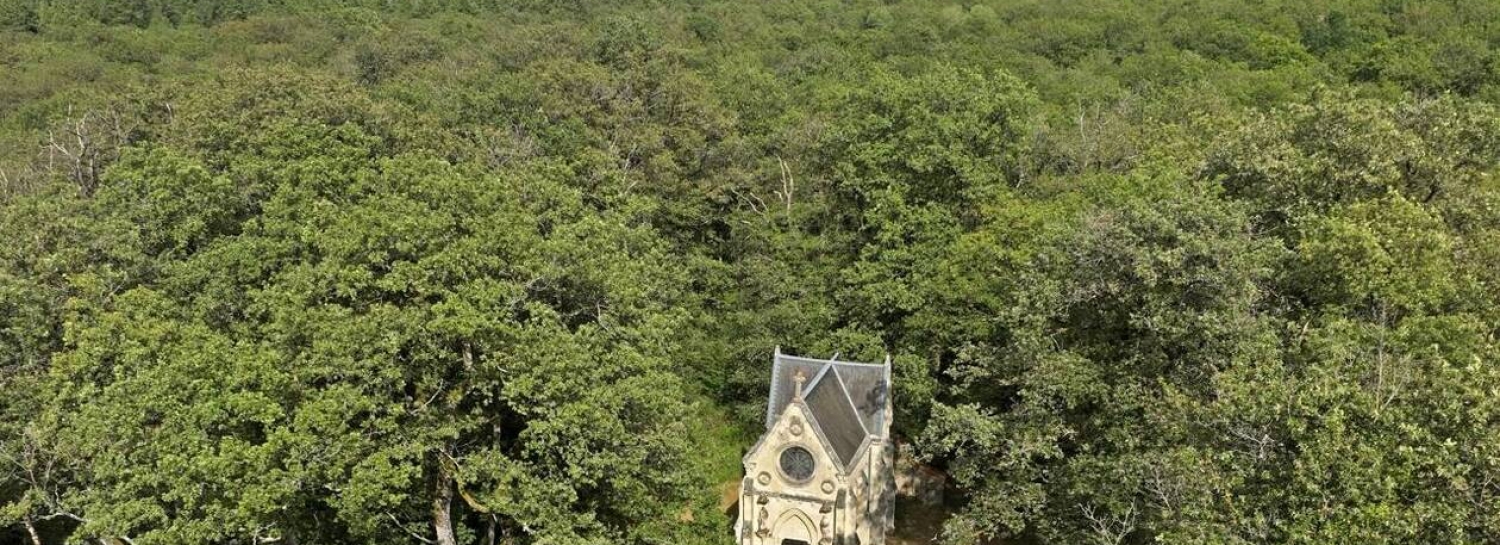 🌳La forêt avec son cimetière sans sépultures.🪦