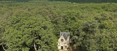 🌳La forêt avec son cimetière sans sépultures.🪦