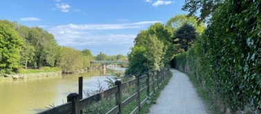 Ballade en bord de sèvre