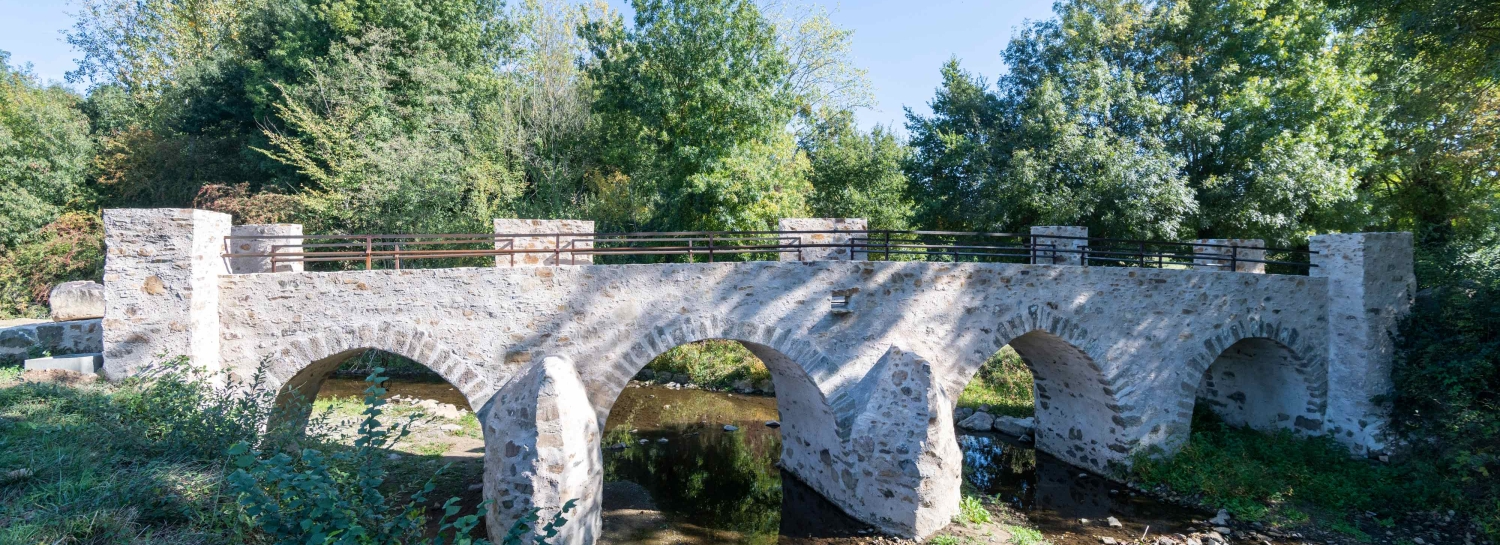 🚶‍♂️‍➡️🚶‍♀️‍➡️🚶‍➡️Rando à Mouzillon.🥾