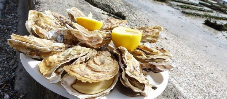 huîtres et muscadet a prix coûtant 