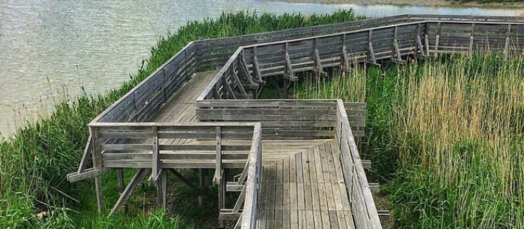 Balade Pieds Nus- Observatoire de Lavau sur Loire 