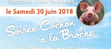 Soirée Cochon à la Broche ... Et Plus ...