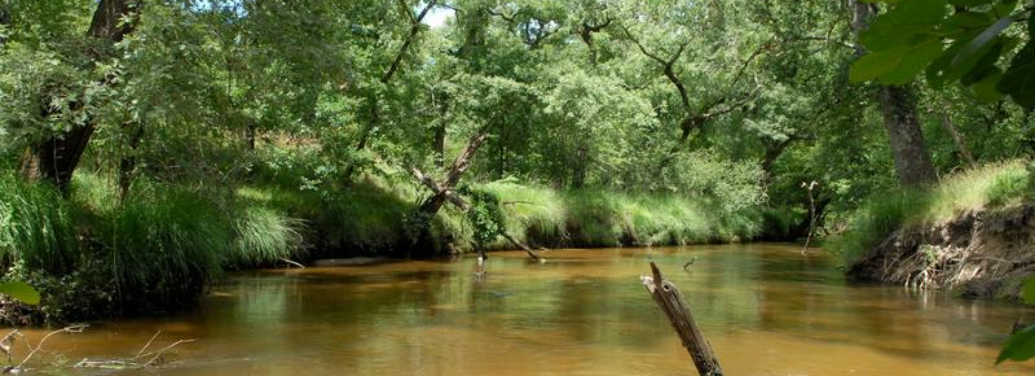 faire du canoë sur la l'eyre