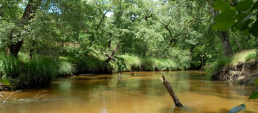 faire du canoë sur la l'eyre