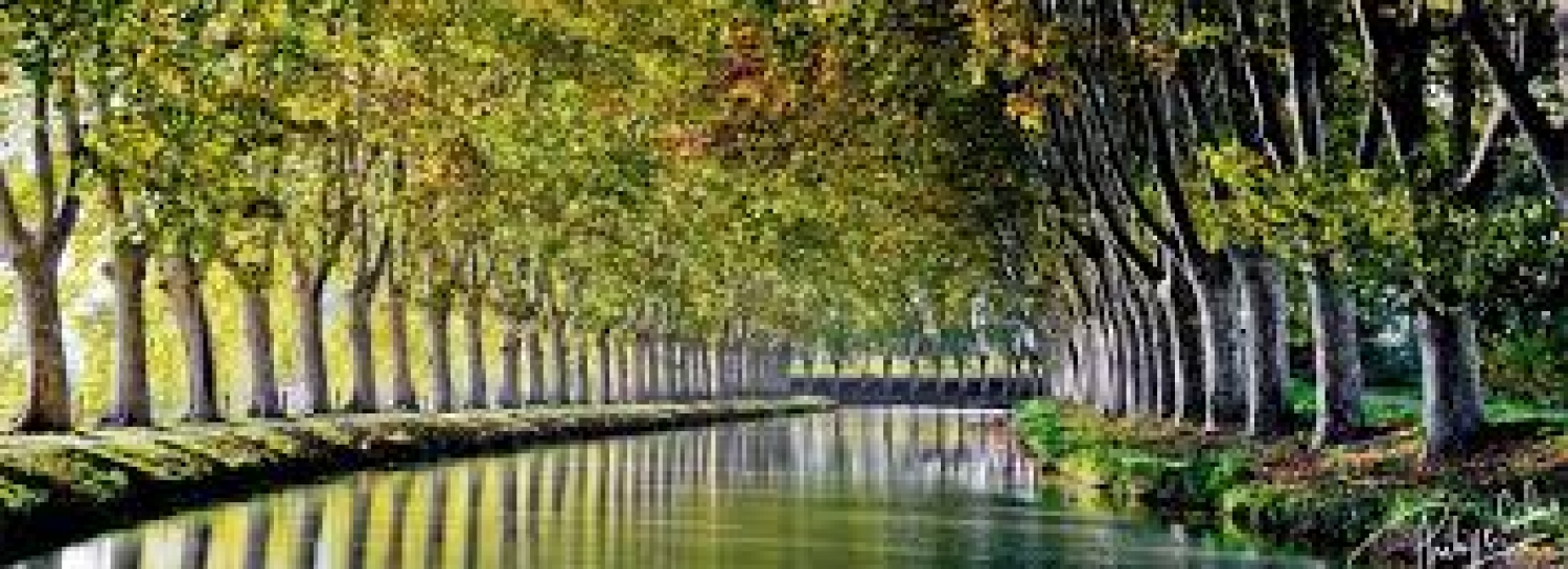 Marche tranquille le long du canal du midi