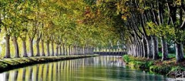 Marche tranquille le long du canal du midi