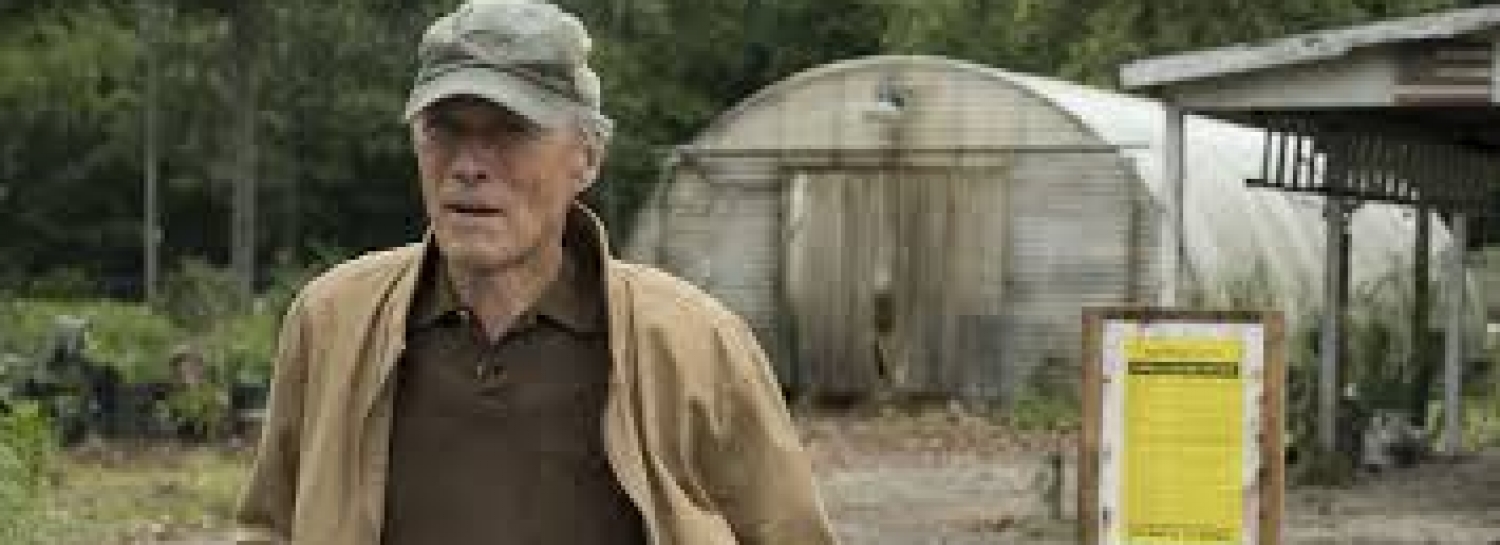 LA MULE, dernier film de Clint EASTWOOD