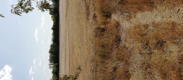 Balade sur les bords de la Loire à pieds.