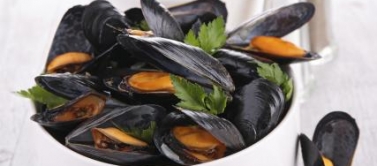 moules frites