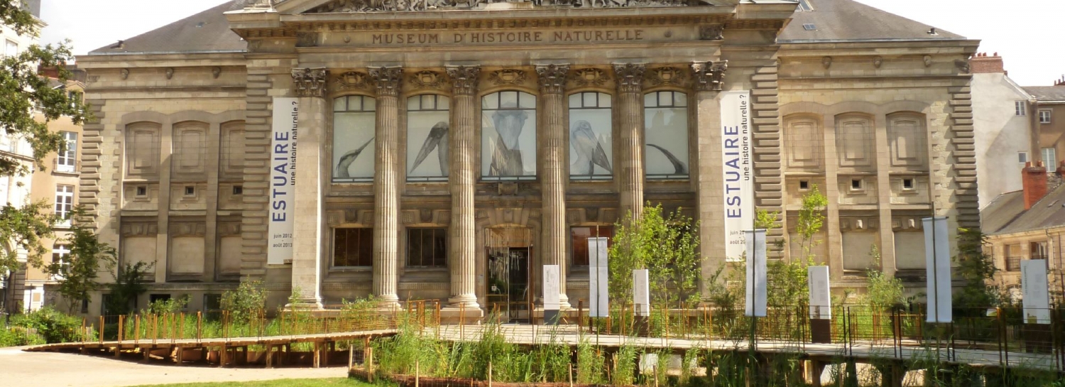 Visite du Musée d'histoire naturelle de Nantes