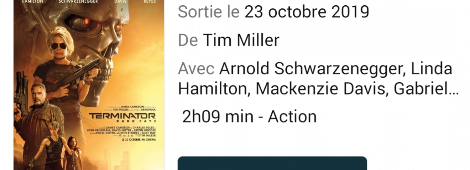 Cinéma pour voir Terminator 