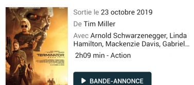 Cinéma pour voir Terminator 