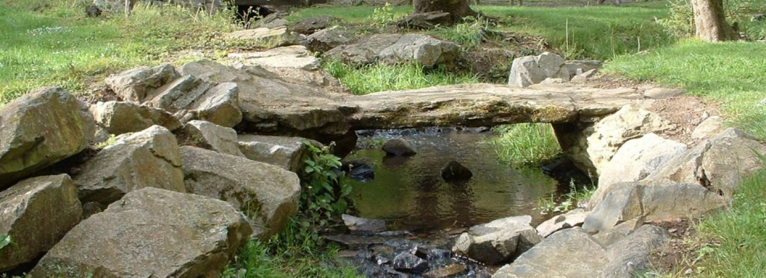 Jeux et picnic/Barbecue en pleine nature