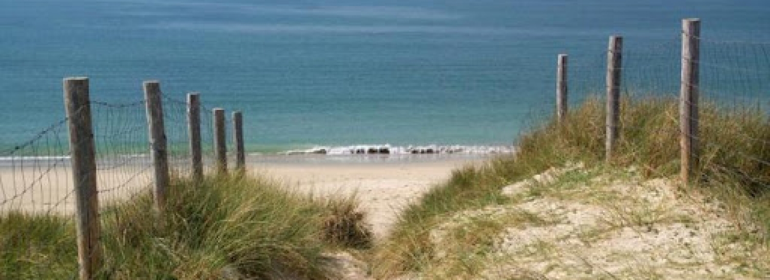 Rando dominicale  (plage + Forêt de pins) !!!