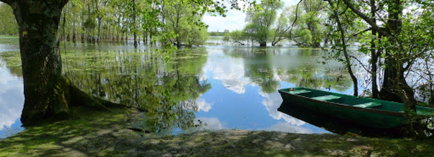 Ballade de 7 km dans le marais de Goulaine