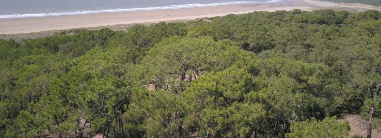 Randonnée à Saint Brévin les pins et L'océan