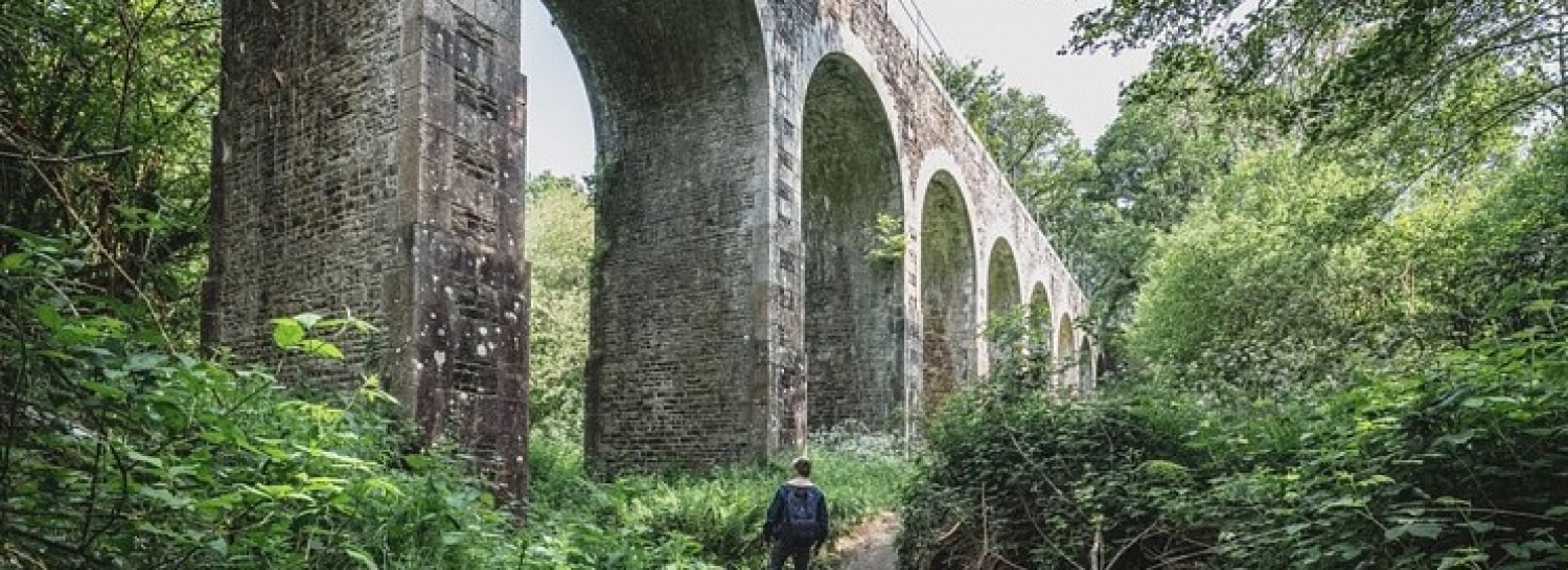 La ballade glauque de Nort-sur-Erdre