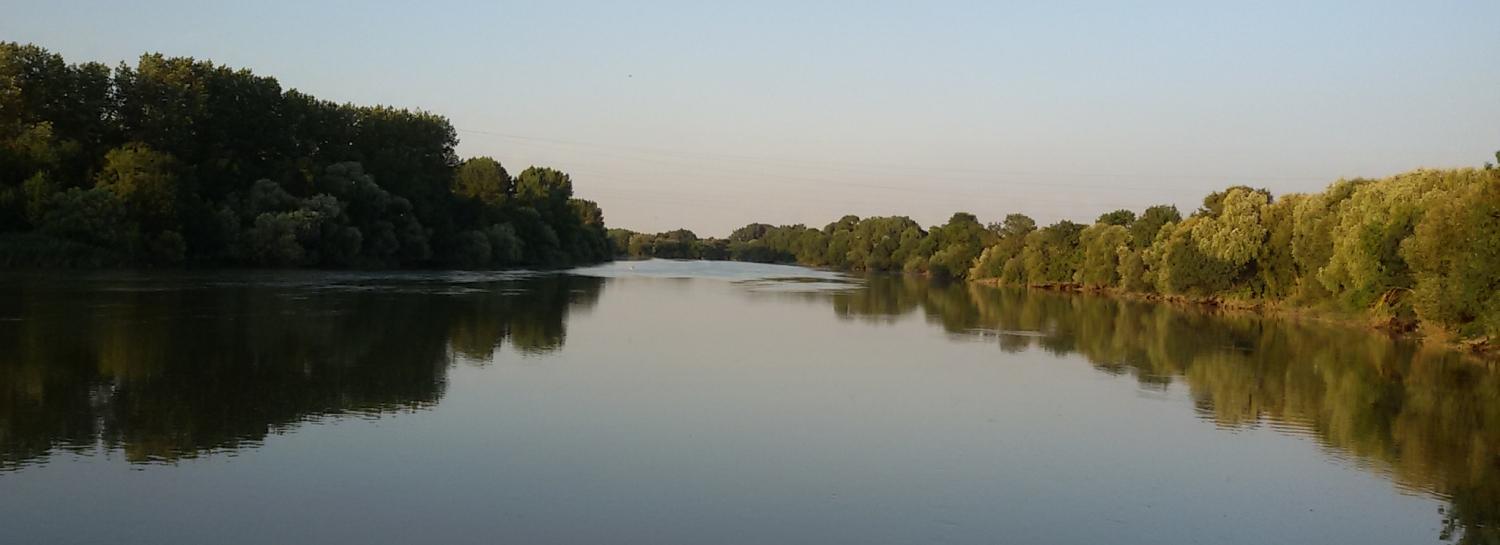 Courir, bords de l'erdre