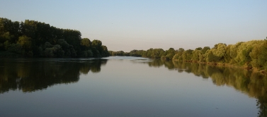 Courir, bords de l'erdre