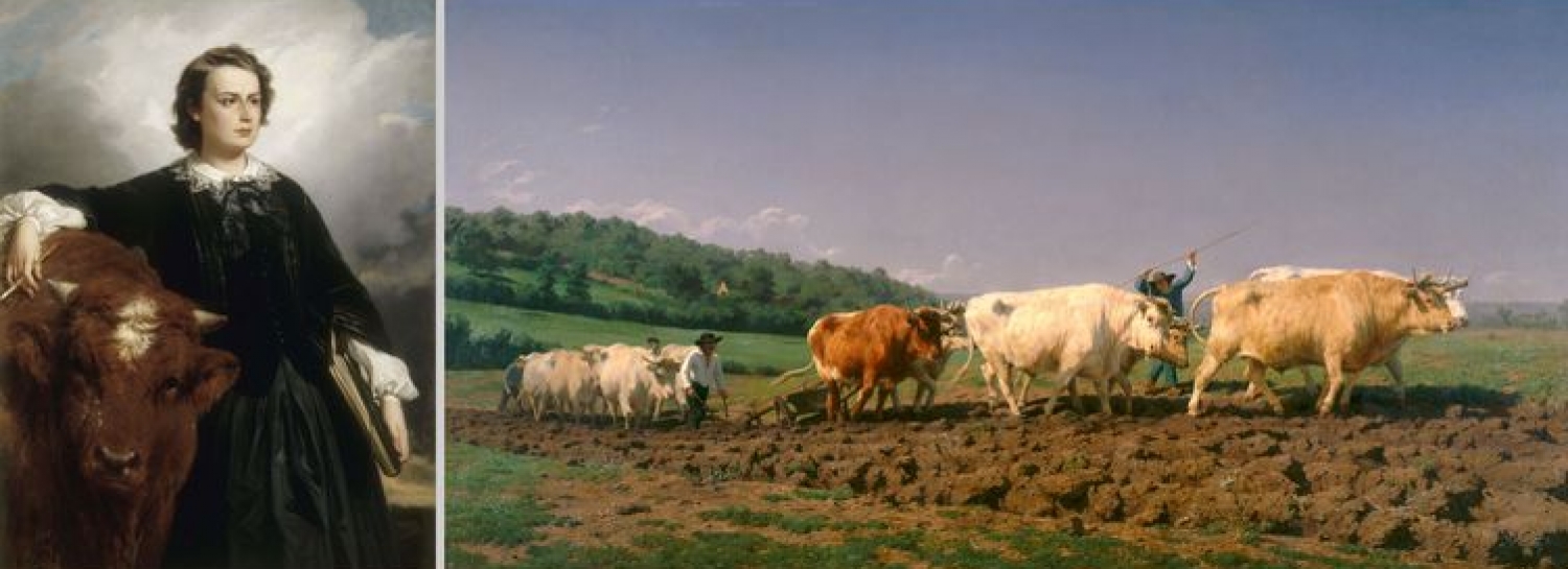 Expo Rosa Bonheur au Musée des Beaux Arts